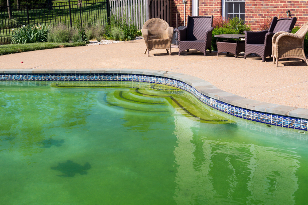 What Should I Do If My Pool Water Turns Green?
