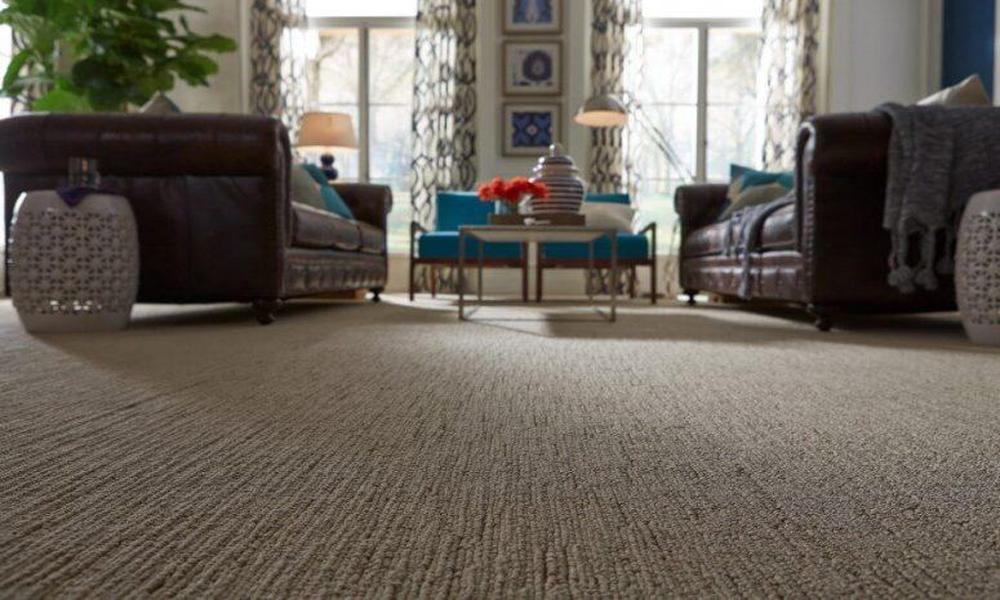 Wall To Wall Carpets Vs. Hardwood Flooring: Which One Is Better?