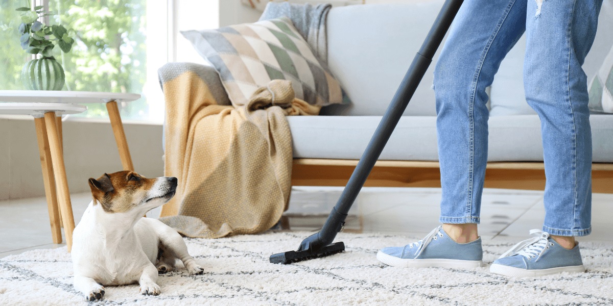 Deep Cleaning Your Living Room When You Have a Pet