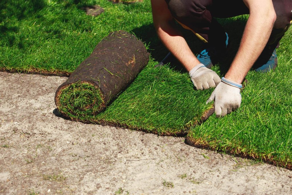 atlanta sod company